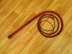 bullwhip paracord