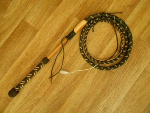 florida cow whip paracord